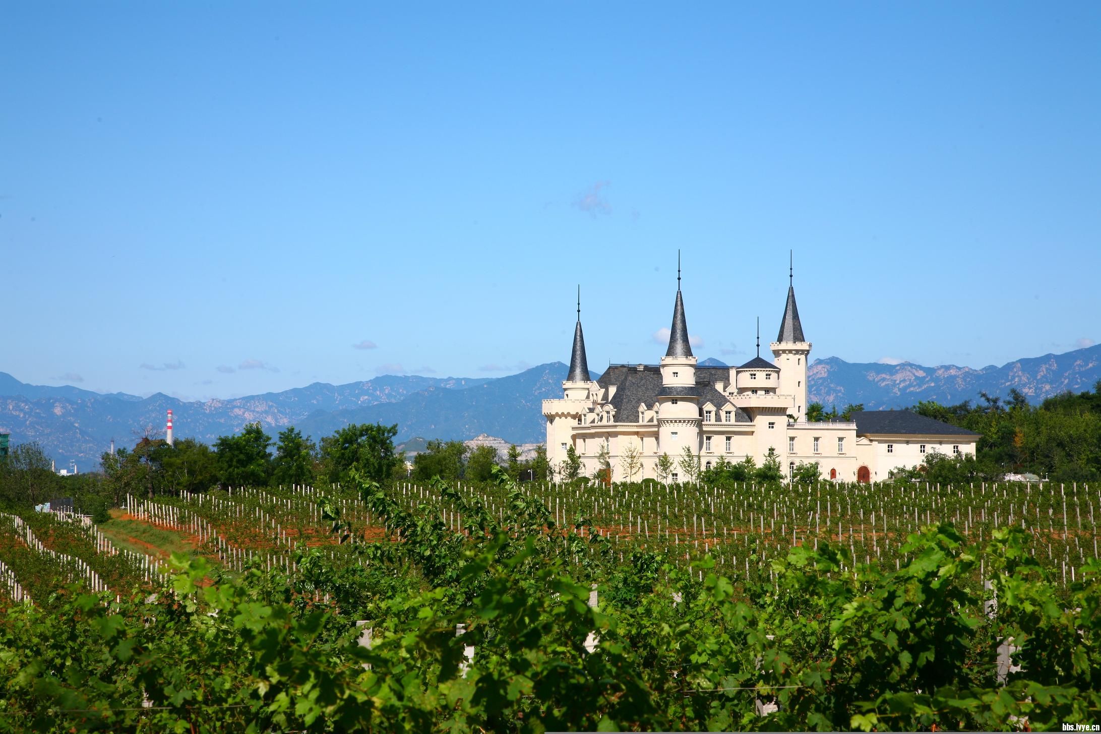 7月7日 红酒庄园和熏衣草庄园休闲一日拍照摄影活动-绿野各地-绿野各地-绿野户外网