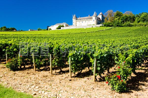 法国勃艮第葡萄酒庄园