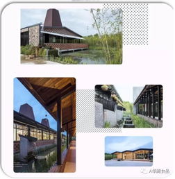 嘉兴的猪肉又挺进上海啦