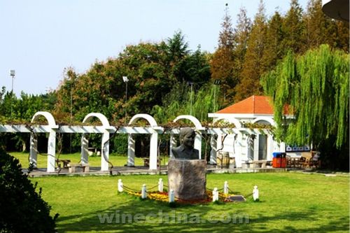 图说 中国精品酒庄游 之华东百利酒庄