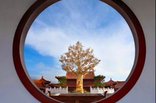 感恩各界,载誉前行 中国河源 巴伐利亚庄园 美好生活 理想庄园 产品推介会暨联欢晚会在坚基越王广场欢乐开演