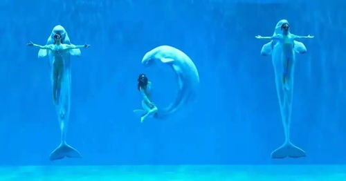 5 19 中国旅游日 哈尔滨线上线下主题活动精彩纷呈