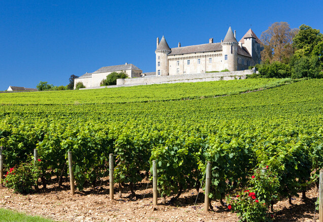 法国酒庄排名第一竟是 --(白马庄园)