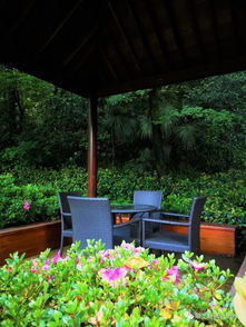 杭州山间竟藏了个自带动物园的英式庄园 杭城唯一全球奢华精品酒店