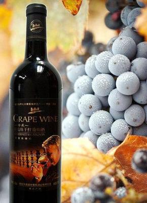 烟台葡萄酒招商加盟-龙葡古藤新品上市