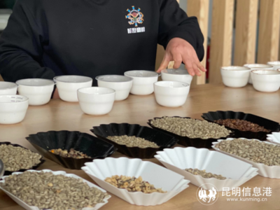 “云南时间农业”让云南的咖啡香味,飘向世界