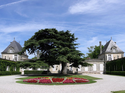 波尔多酒庄参观,关于美酒的朝圣之旅