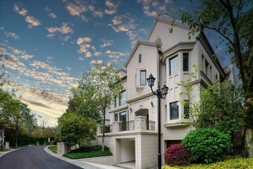 可遇不可求的龙湖舜山府,无理由不爱的庄园独院