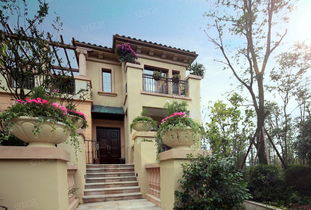 成都保利拉斐庄园 实景图 4 成都安居客