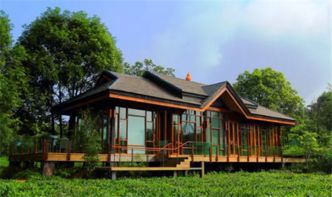 柏联普洱2014年庄园 心境开汤