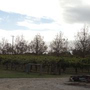 玛格利特河庄园旅游全攻略 门票、地址、游览顺序与注意事项