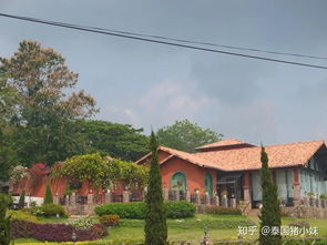 泰国芭提雅 热带天堂的诱惑