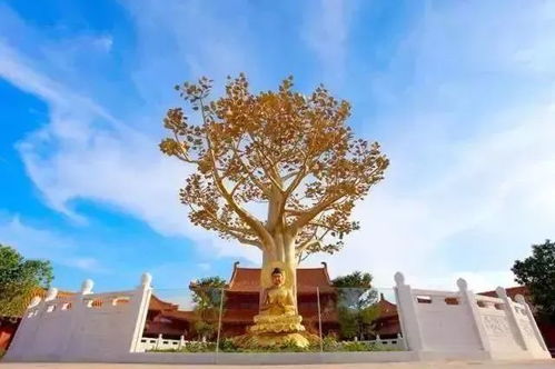 温泉季专属体验 299元尽享河源巴伐利亚温泉小镇国药温泉与途家度假公寓