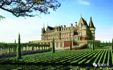 探索葡萄酒庄园 一场醇香之旅的完美规划
