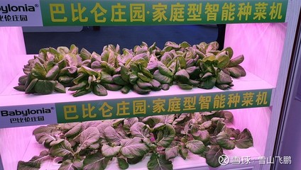 高交会上的那些奇葩产品