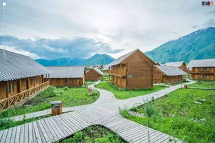 很抱歉通知你,新疆产品明天过后就