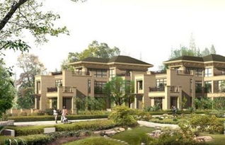 龙山庄园楼盘最新解析 安吉华都项目背后的真相揭示