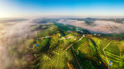 现代农业发力，烟台大户庄园描绘乡村振兴壮美画卷